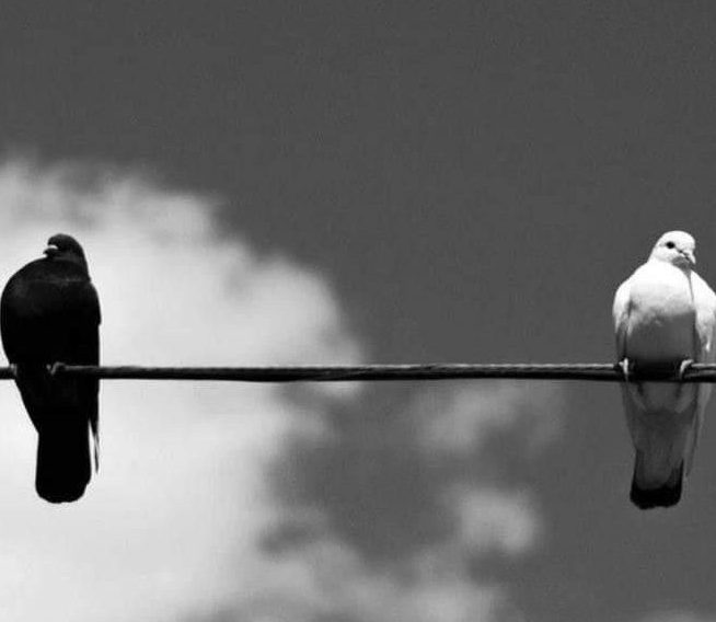 Nem tudo que incomoda precisa ser&nbsp;combatido